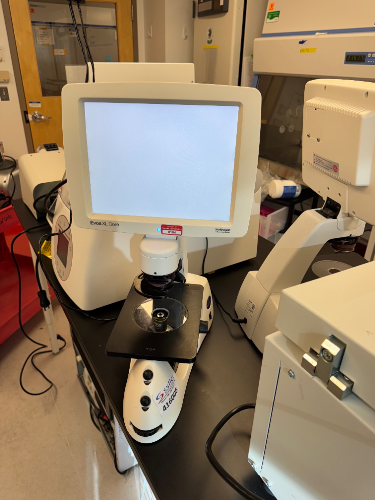 Image of Invitrogen Evos XL Core Microscope